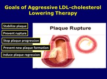 Aggressive LDL-c Lowering Therapy