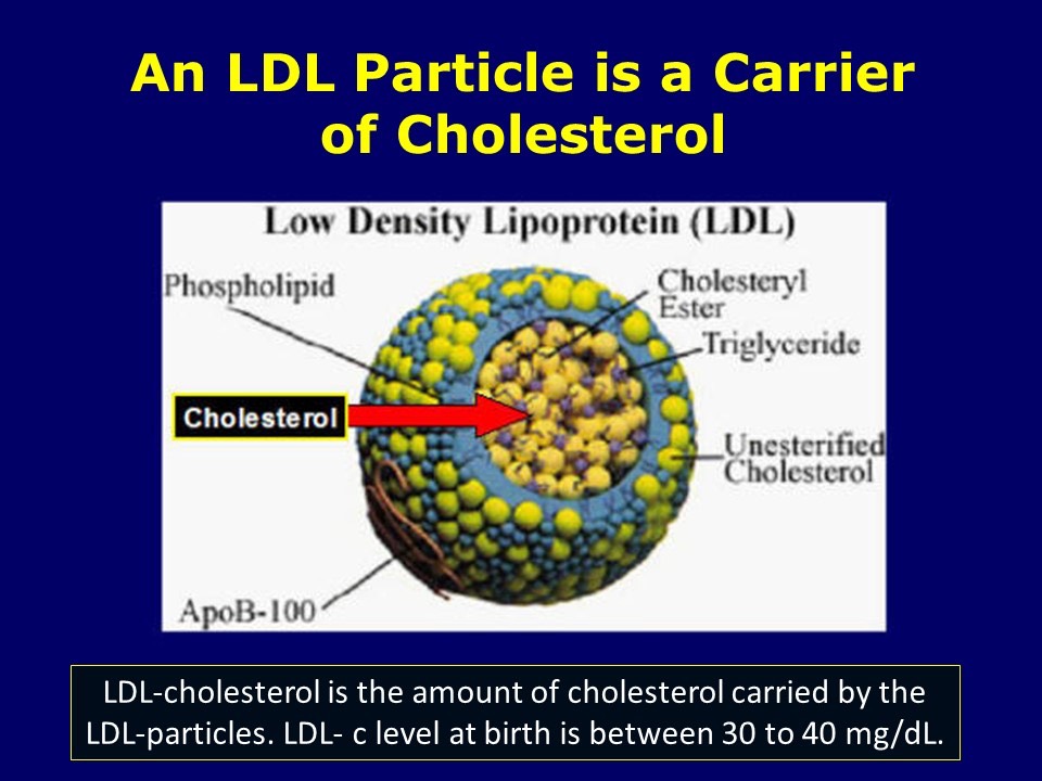 LDL Particle
