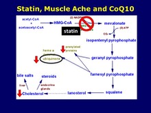 Satin, Muscle Ache and CoQ10